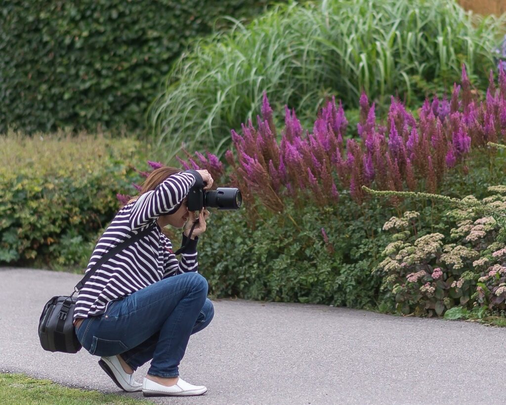 dsc 4457.jpg compressed dsc 4457.jpg compressed