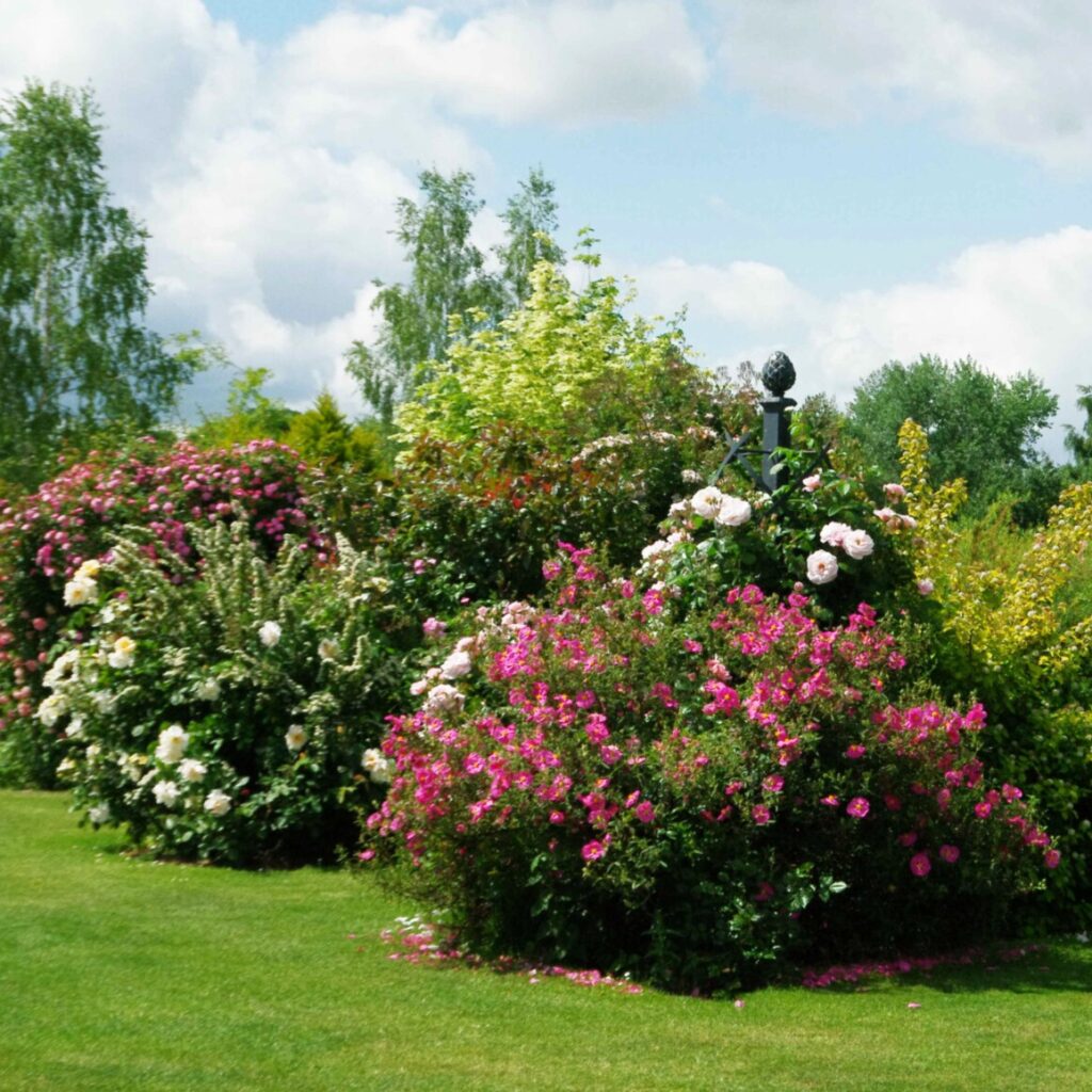 imgp5692.dng compressed