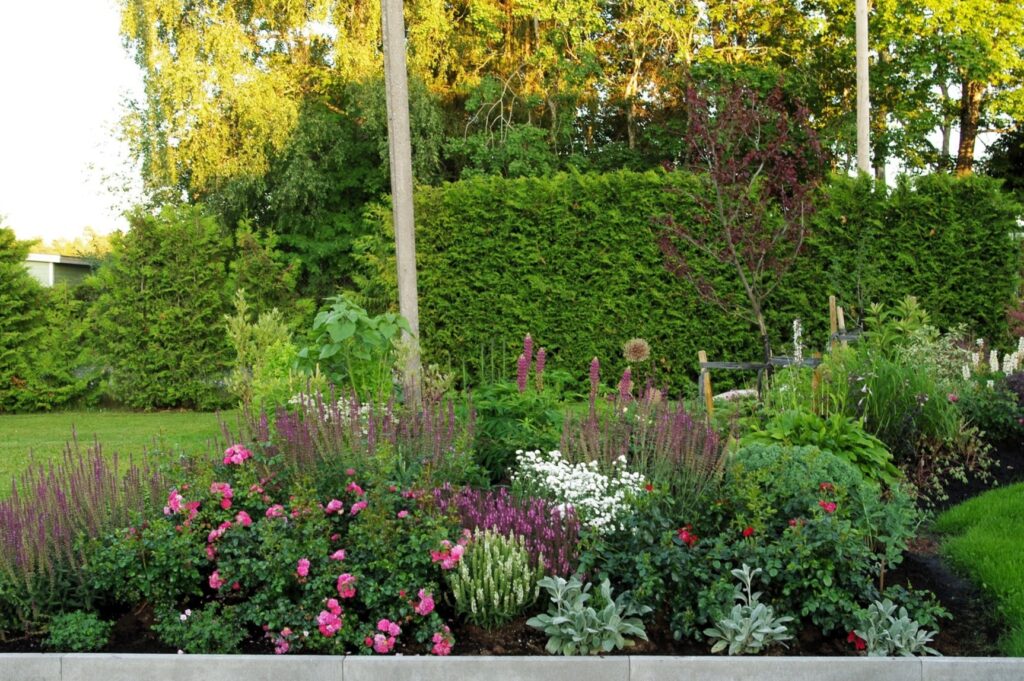 imgp8536.jpg compressed