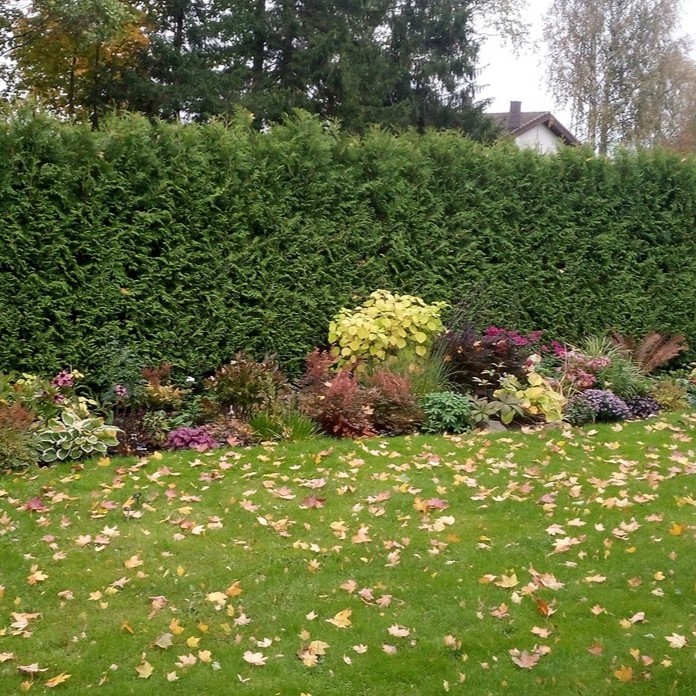 img 20210924 180507388.jpg compressed