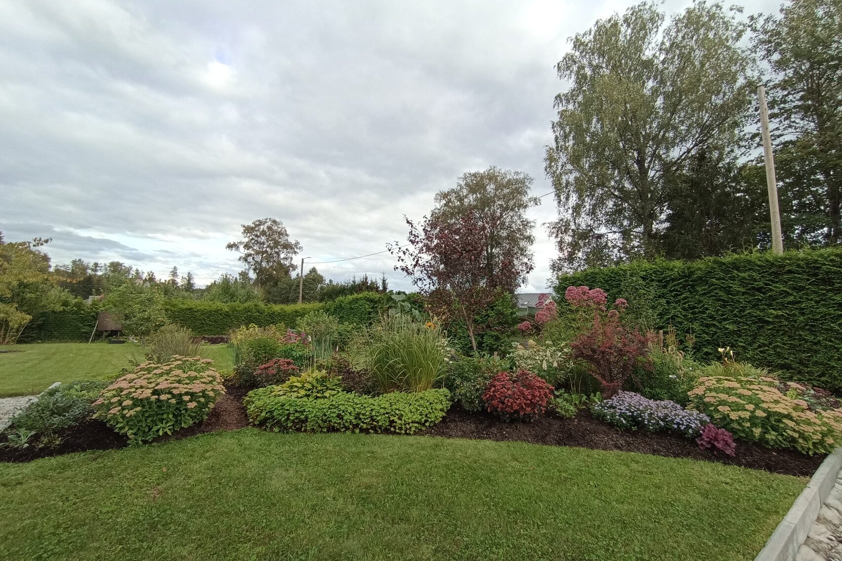 img 20240901 173032.jpg compressed