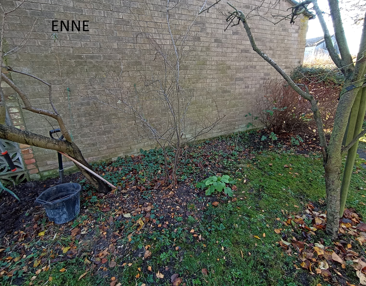 Avaleht peenar enne 1