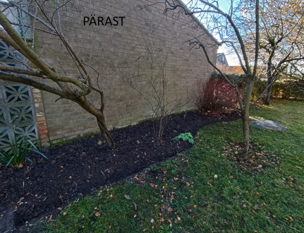 Avaleht peenar enne 2