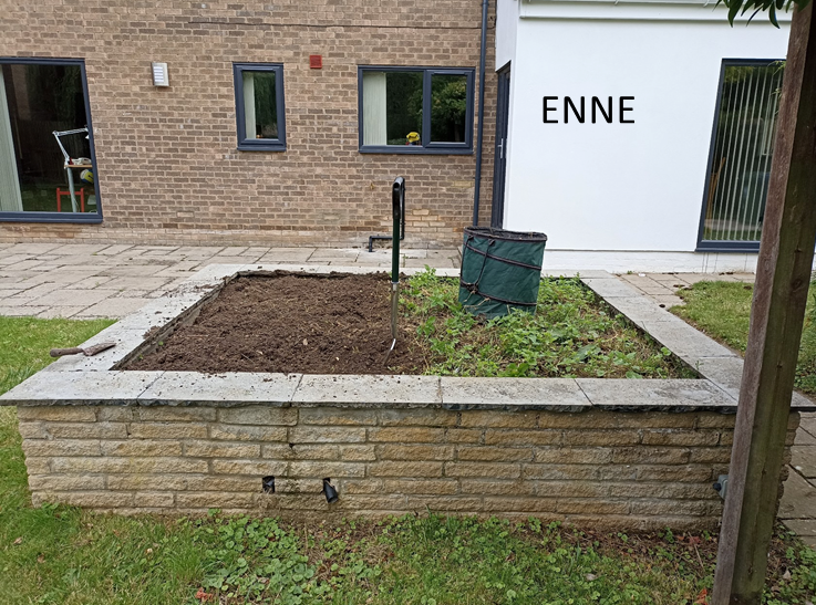 Avaleht peenar enne 3