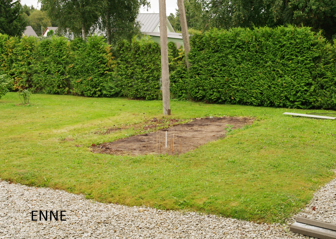 Avaleht peenar enne 4