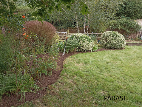 Avaleht peenar pärast