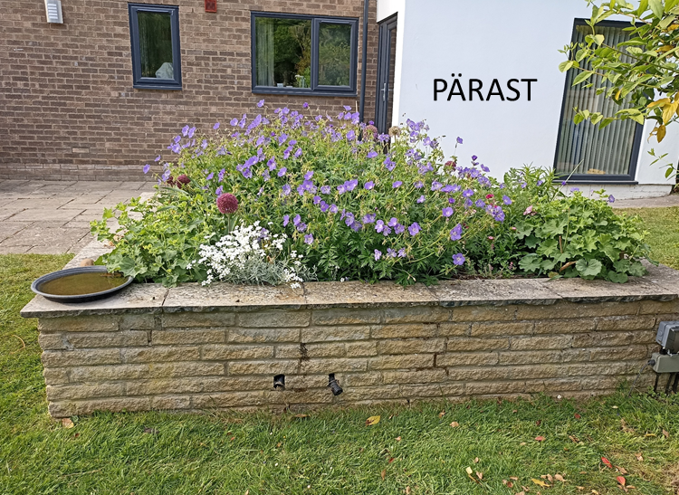 Avaleht peenar pärast 3