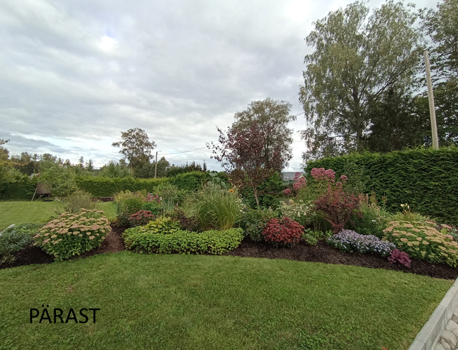 Avaleht peenar pärast 4