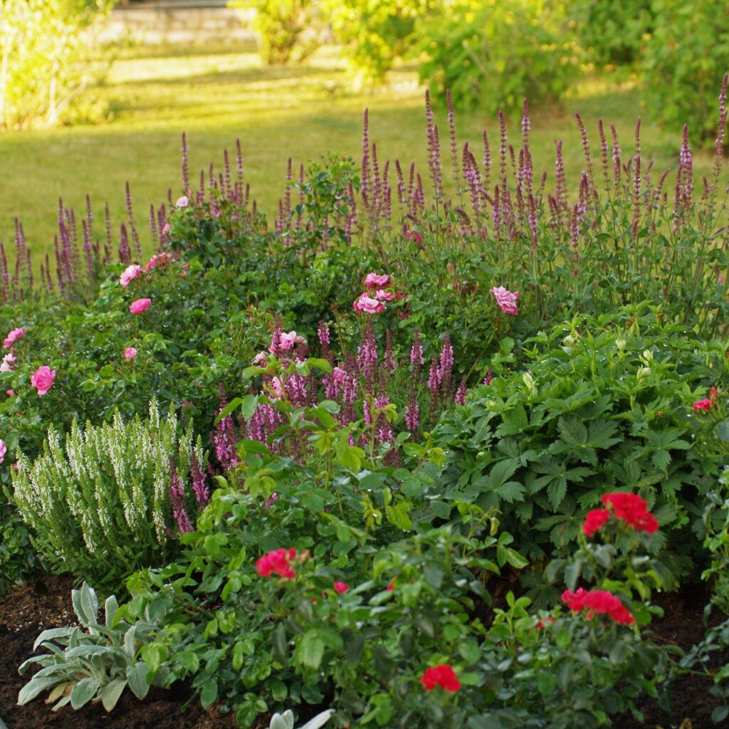 roosid ja salveid 4.jpg compressed